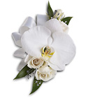 White Orchid and Rose Corsage from Olney's Flowers of Rome in Rome, NY